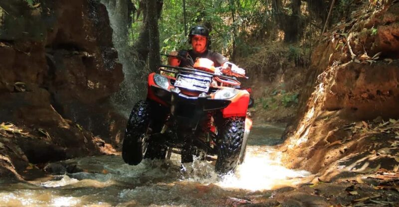 Ultimate Adventure With Bali Tarantula ATV (Hotel Transfer) - Experience and Itinerary