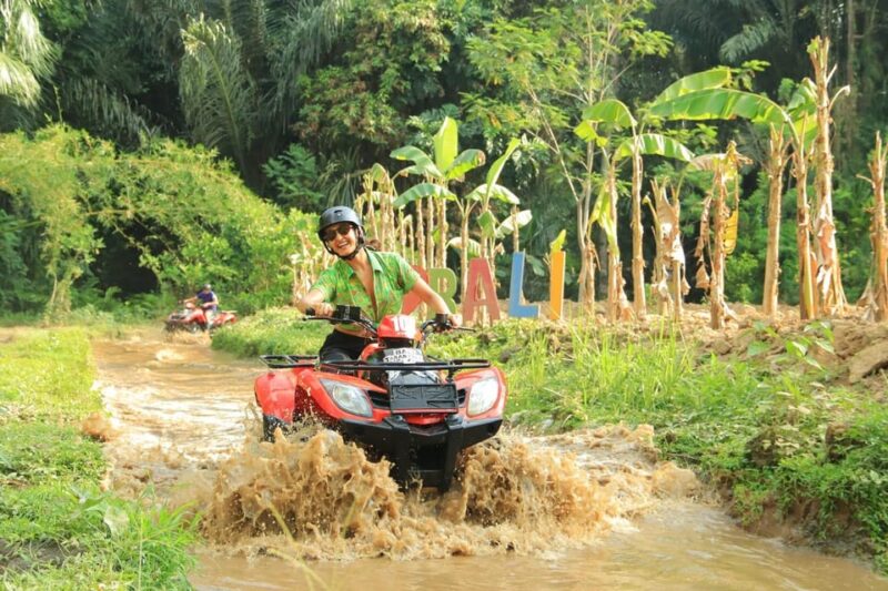 Ultimate Adventure With Bali Tarantula ATV (Hotel Transfer) - Adventure Highlights