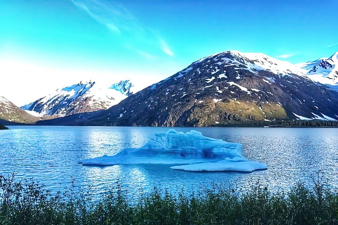 Ultimate Anchorage and Turnagain Arm Private Full Day Tour - Reviews and Customer Feedback