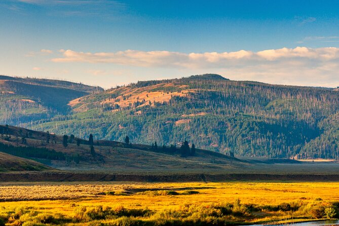 Ultimate Audio Tours: Yellowstone, Glacier, Grand Teton & Banff - Discovering Glacier National Park