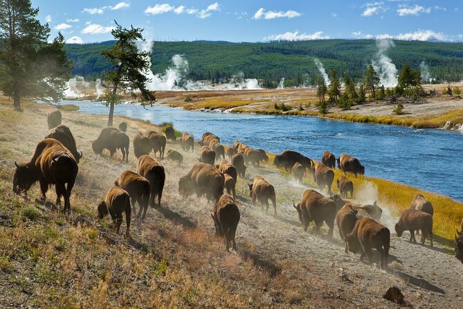 Ultimate Audio Tours: Yellowstone, Glacier, Grand Teton & Banff - Customer Support and Additional Resources