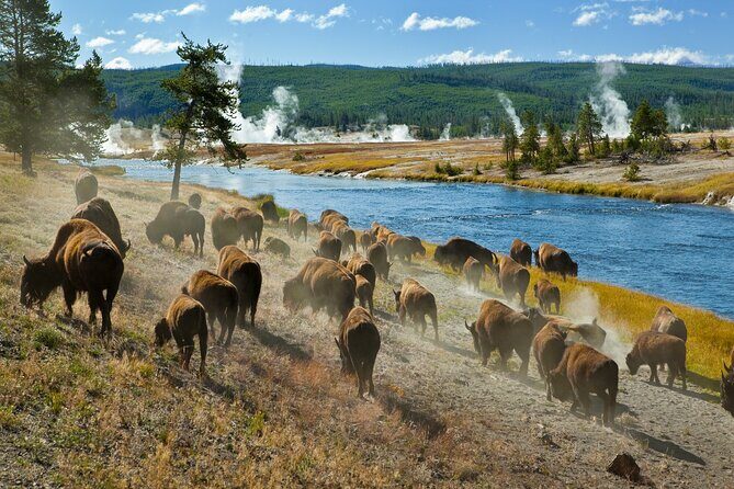 Ultimate Audio Tours: Yellowstone, Glacier, Grand Teton & Banff - FAQ