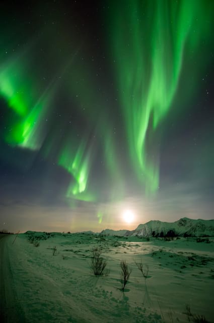 Ultimate Aurora Hunt - What to Bring