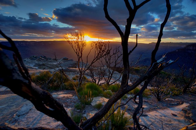 Ultimate Blue Mountains and Wildlife Tour - Pickup and Confirmation Information