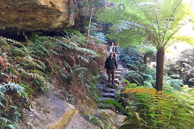 Ultimate Blue Mountains Private Tour With Scenic World and Wildlife Park - Time Constraints