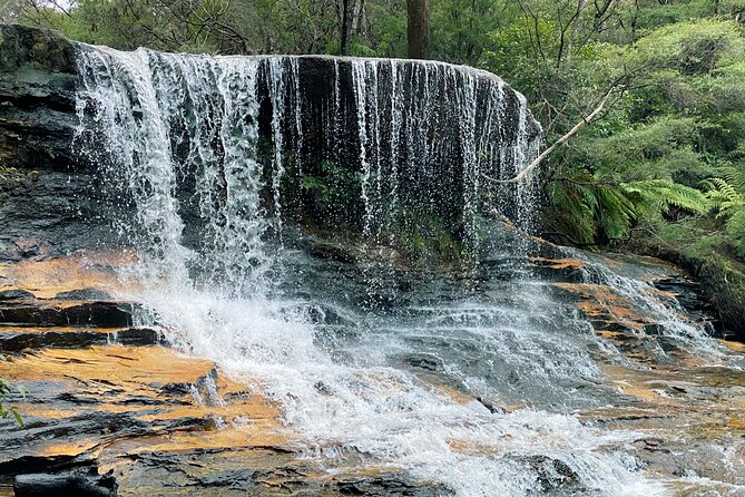 Ultimate Blue Mountains Private Tour With Scenic World and Wildlife Park - Adaptability in Weather