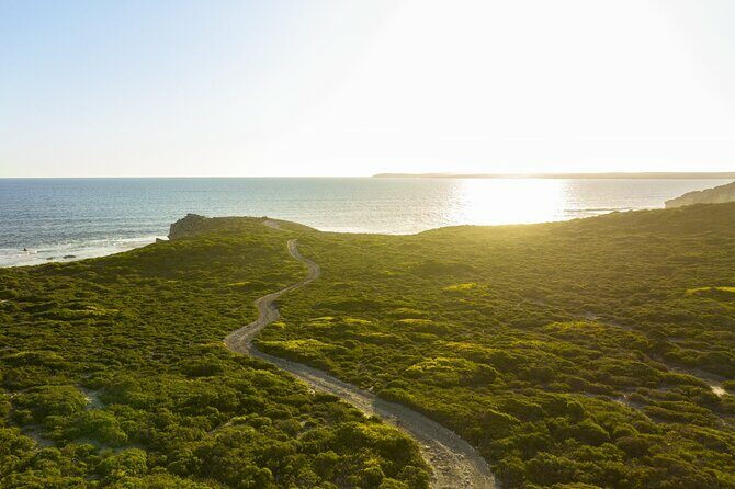 Ultimate Buggy Tour in Kangaroo Island - Who Will Enjoy This Tour?