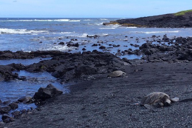 Ultimate Circle Island Explorer From Kona Or Kohala Resorts - Sampling Local Delectable Treats