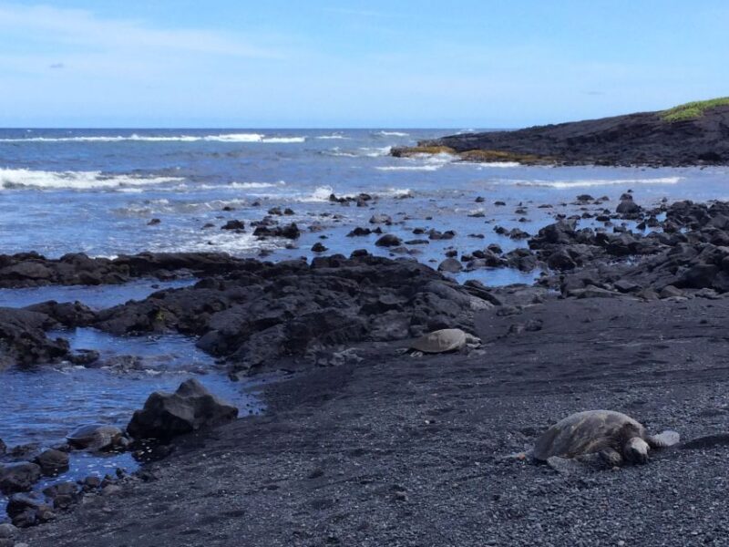 Ultimate Circle Island Explorer From Kona With Lunch - Customer Feedback