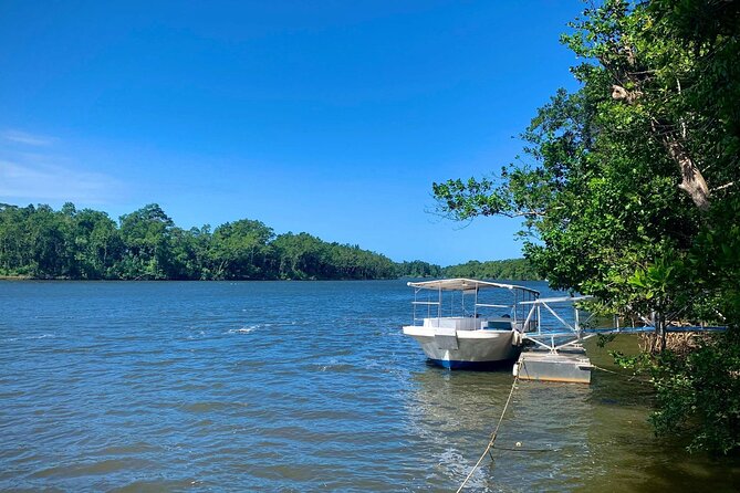 Ultimate Daintree Rainforest Wildlife Experience Cruise - Convenient Meeting Point and Travel Times