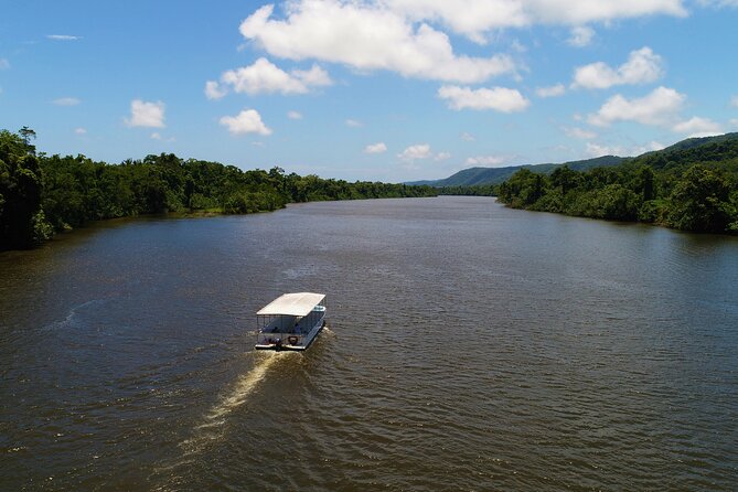 Ultimate Daintree Rainforest Wildlife Experience Cruise - Accessibility for All Travelers