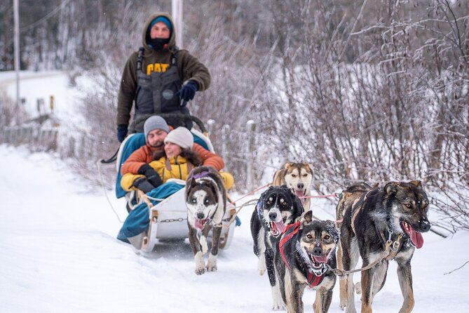 Ultimate Dog Sledding Tour - Day Trip From Ottawa & Gatineau - Pricing