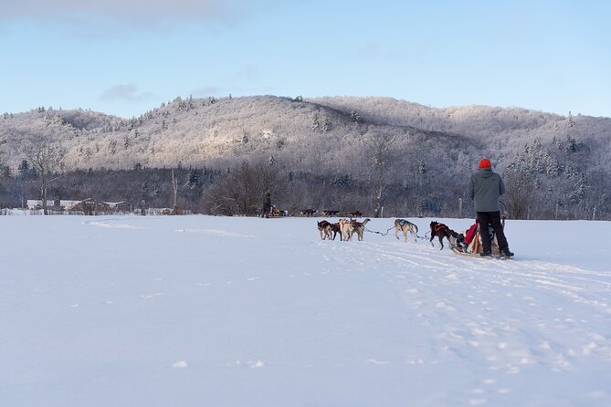 Ultimate Dog Sledding Tour - Day Trip From Ottawa & Gatineau - Thrilling Dog Sledding Experience