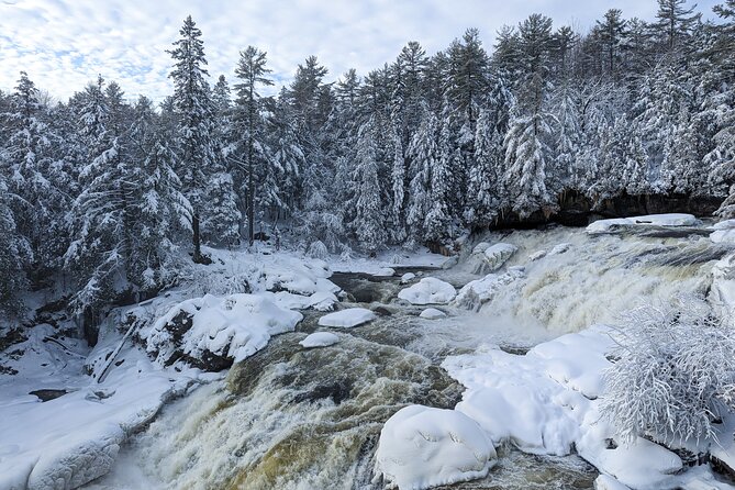 Ultimate Dog Sledding Tour - Day Trip From Ottawa & Gatineau - Guided Snowshoe Adventure