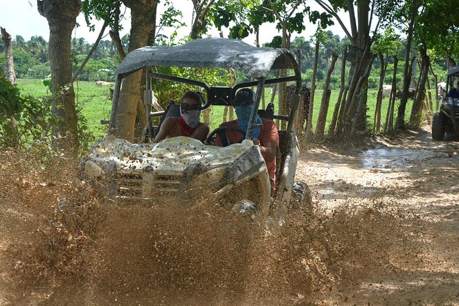 Ultimate Dune Buggy and ATV Adventure With Cave, Beach, Ranch and Free Cigar - Customer Reviews and Feedback Highlights