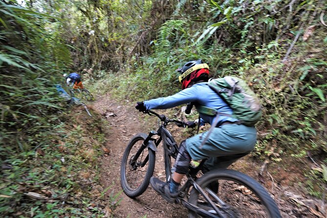 Ultimate Ecuador Mountain Biking Expedition 9 Days - Biking Trails