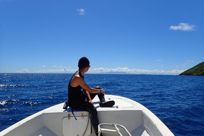 Ultimate Encounter Snorkel With Sharks in Fiji - Shark Encounter Safety