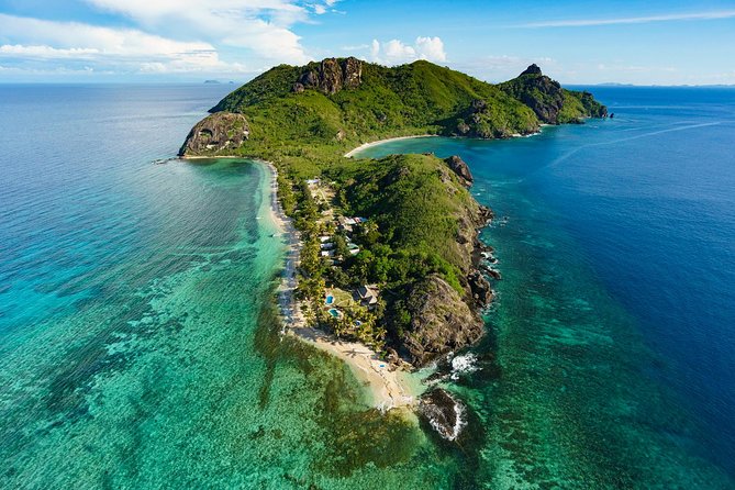 Ultimate Encounter Snorkel With Sharks in Fiji - Shark Species and Sightings