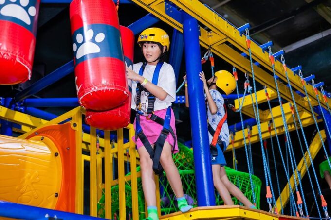 Ultimate Family Fun Day at Froggys Fun Park - Party Room Rentals