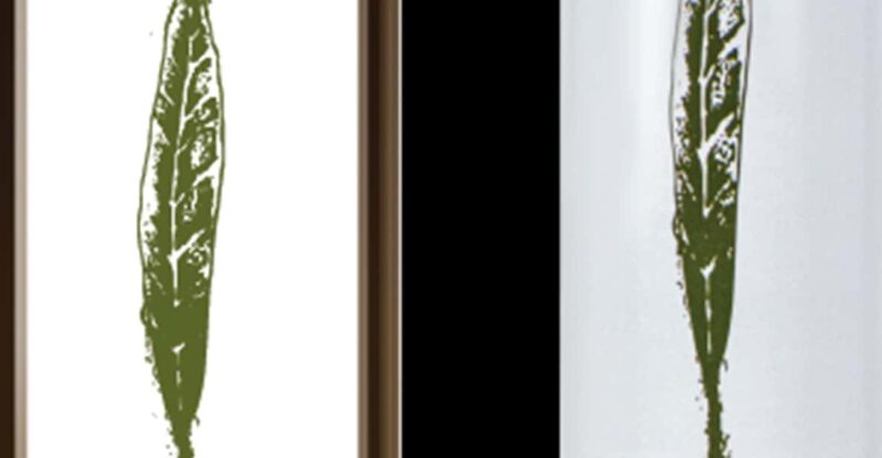 Ultimate Food & Wine Masterclass - Frequently Asked Questions