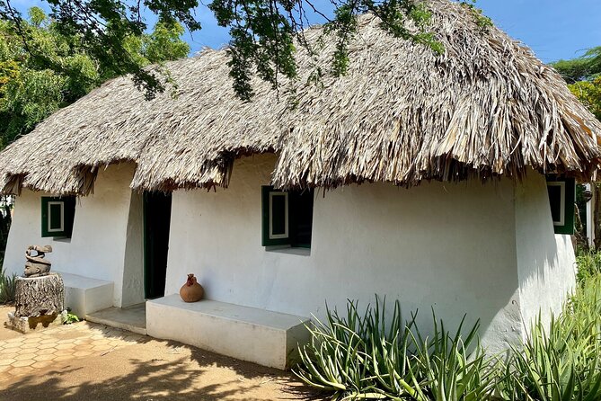 Ultimate Full-Day Private Tour: Discover All Curacao Highlights - Inclusions and Amenities