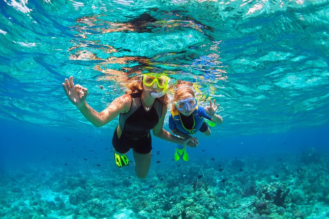 Ultimate Grand Oahu Circle Island Tour With Snorkeling and More - Pickup Information and Logistics