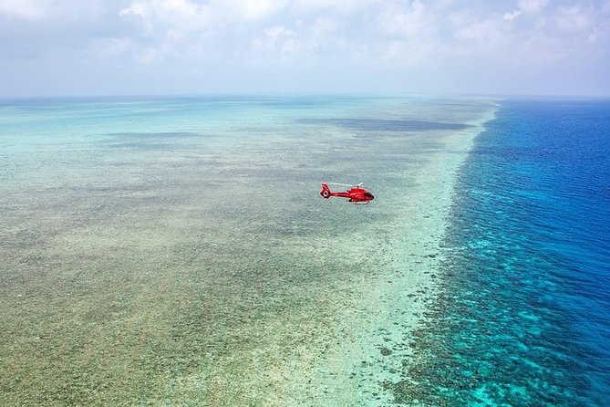 Ultimate Great Barrier Reef and Rainforest 45-minute Helicopter Tour - Cancellation and Confirmation