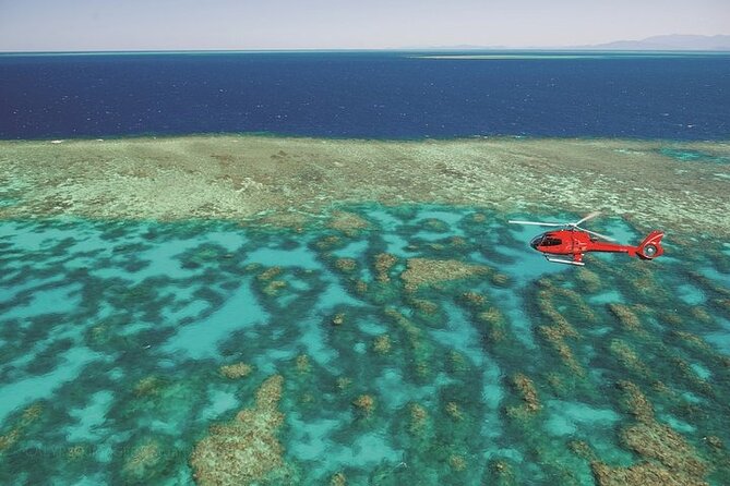 Ultimate Great Barrier Reef and Rainforest 45-minute Helicopter Tour - Customer Feedback