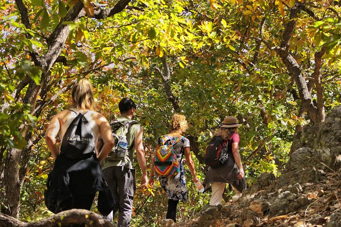 Ultimate Hierve El Agua Hike + Mezcal - Mezcal Tasting Experience
