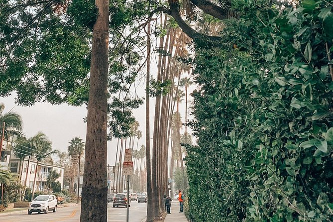 Ultimate Hollywood History Walking Tour in Los Angeles - See All Theaters - Movie Industry History