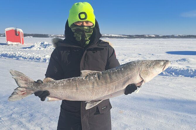 Ultimate Ice Fishing with Lunch - Introduction