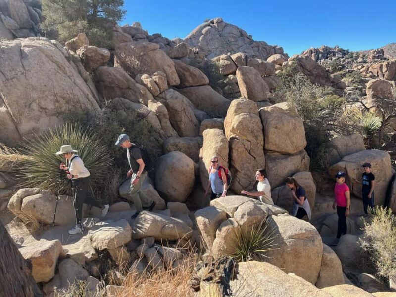 Ultimate Joshua Tree National Park Private Group Adventure - Key Points