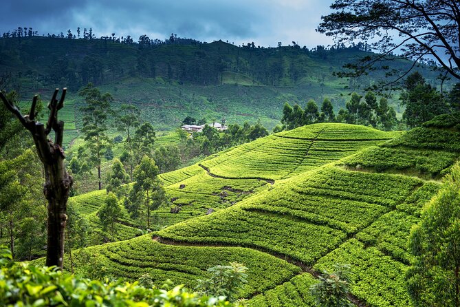 Ultimate Journey in Sri Lanka 4 Day Tours - Accommodation and Amenities
