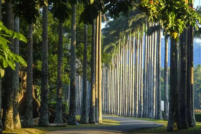 Ultimate Journey in Sri Lanka 4 Day Tours - Destinations and Highlights