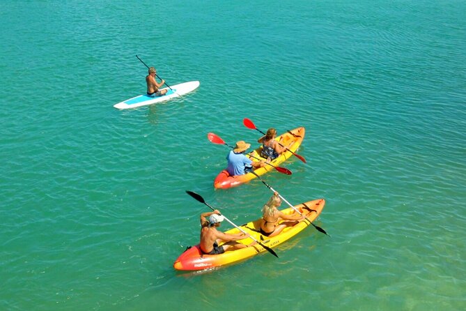 Ultimate Key West Kayak Eco-Tour: Mangrove and Sandbar Adventure - Sandbar Discovery