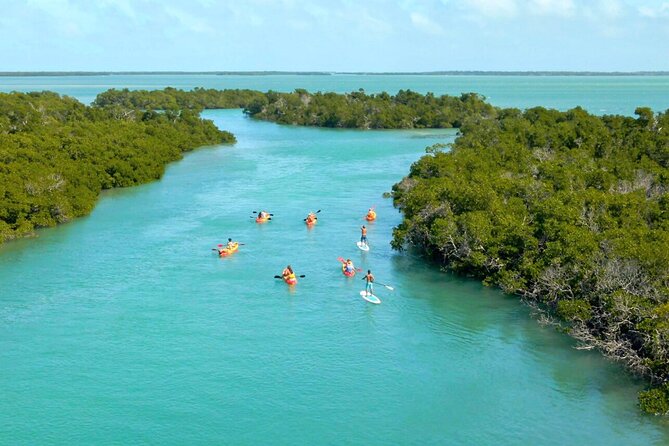 Ultimate Key West Kayak Eco-Tour: Mangrove and Sandbar Adventure - Snorkeling Adventure