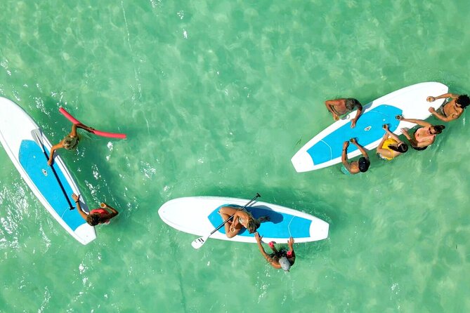 Ultimate Key West Kayak Eco-Tour: Mangrove and Sandbar Adventure - Policies and Reviews