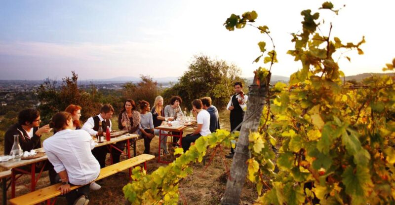 Ultimate Maipú Adventure: Winery Tour & Gourmet Lunch - Itinerary and Locations