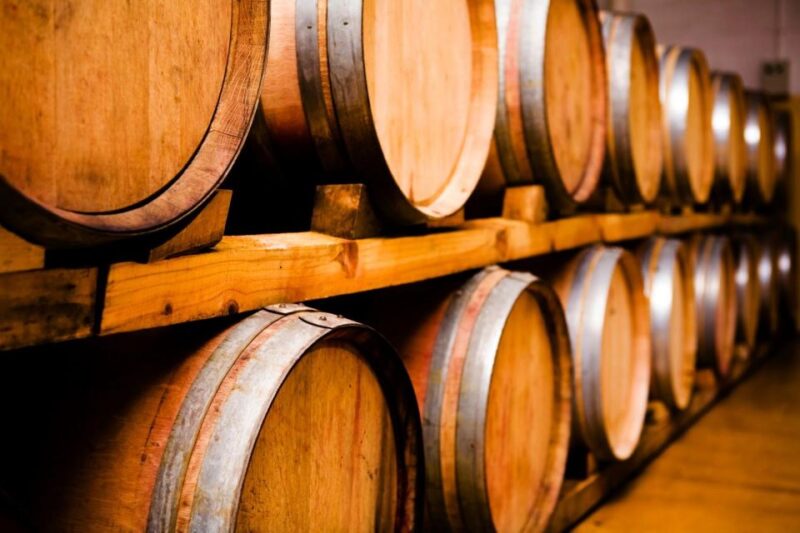 Ultimate Maipú Adventure: Winery Tour & Gourmet Lunch - Inclusions and Amenities