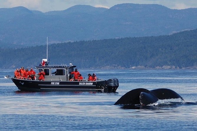 Ultimate Marine Whale & Wildlife Tour - Inclusions