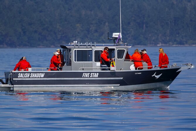 Ultimate Marine Whale & Wildlife Tour - Price and Availability