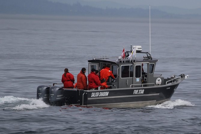 Ultimate Marine Whale & Wildlife Tour - A Personalized and Intimate Experience