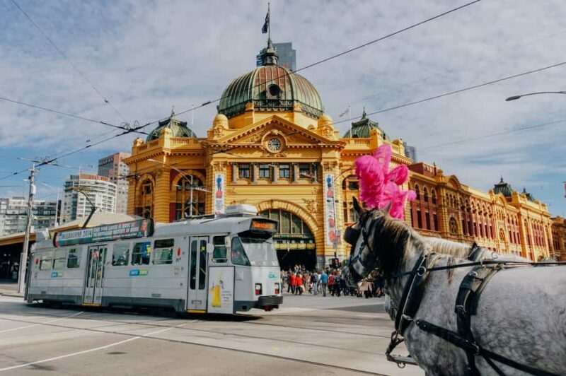 Ultimate Melbourne Walking Tour: History, Laneways & Culture - Final Thoughts: Who Will Love This Tour?