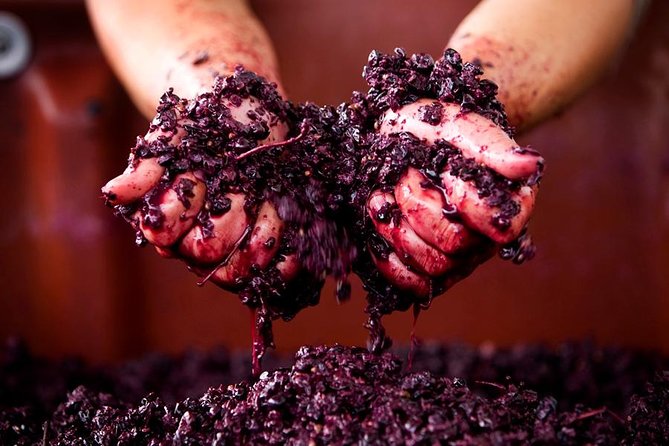 Ultimate Mornington Peninsula Food and Wine Small Group Tour - Inclusions