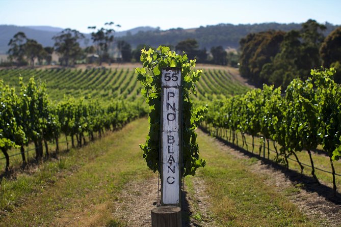 Ultimate Mornington Peninsula Food and Wine Small Group Tour - Traveler Reviews