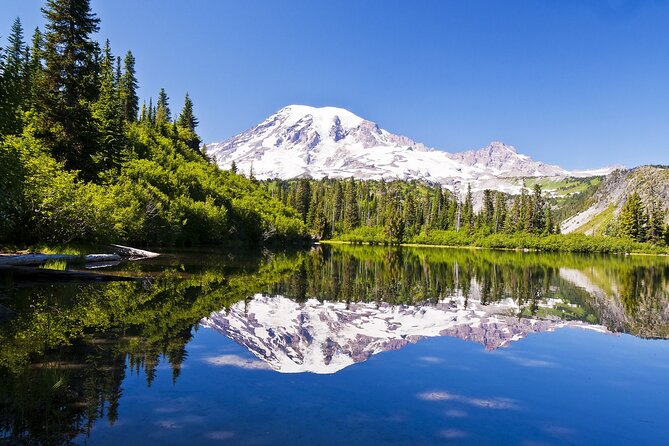 Ultimate Mount Rainier NP Self-Guided Driving Audio Tour - Flexible and Personalized Experience