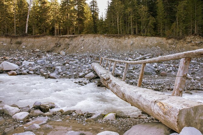 Ultimate Mount Rainier NP Self-Guided Driving Audio Tour - Planning Your Tour