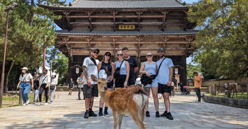 ULTIMATE NARA WALK: Temples, Knives, Crafts & Tea Ceremony - Key Points