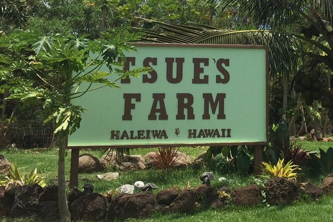 Ultimate North Shore Adventure: Full-Day Hawaiian Experience - Interacting With Farm Animals