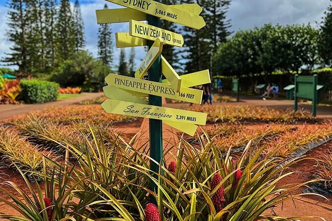 Ultimate North Shore Adventure: Full-Day Hawaiian Experience - Waimea Valley Entrance